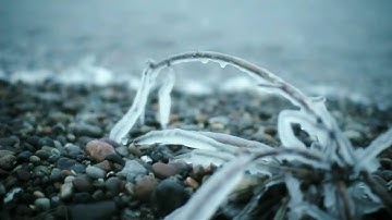 Beta Test - Übersee (Offizielles Musikvideo)