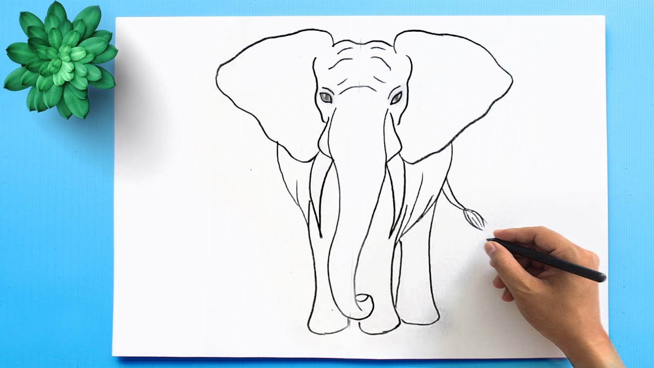 How To Draw an ELEPHANT  Sketch Saturday  YouTube