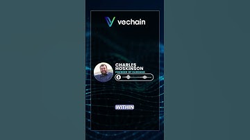 Exploring the Future of Blockchain Interoperability with Charles Hoskinson | VeChain Updates Space