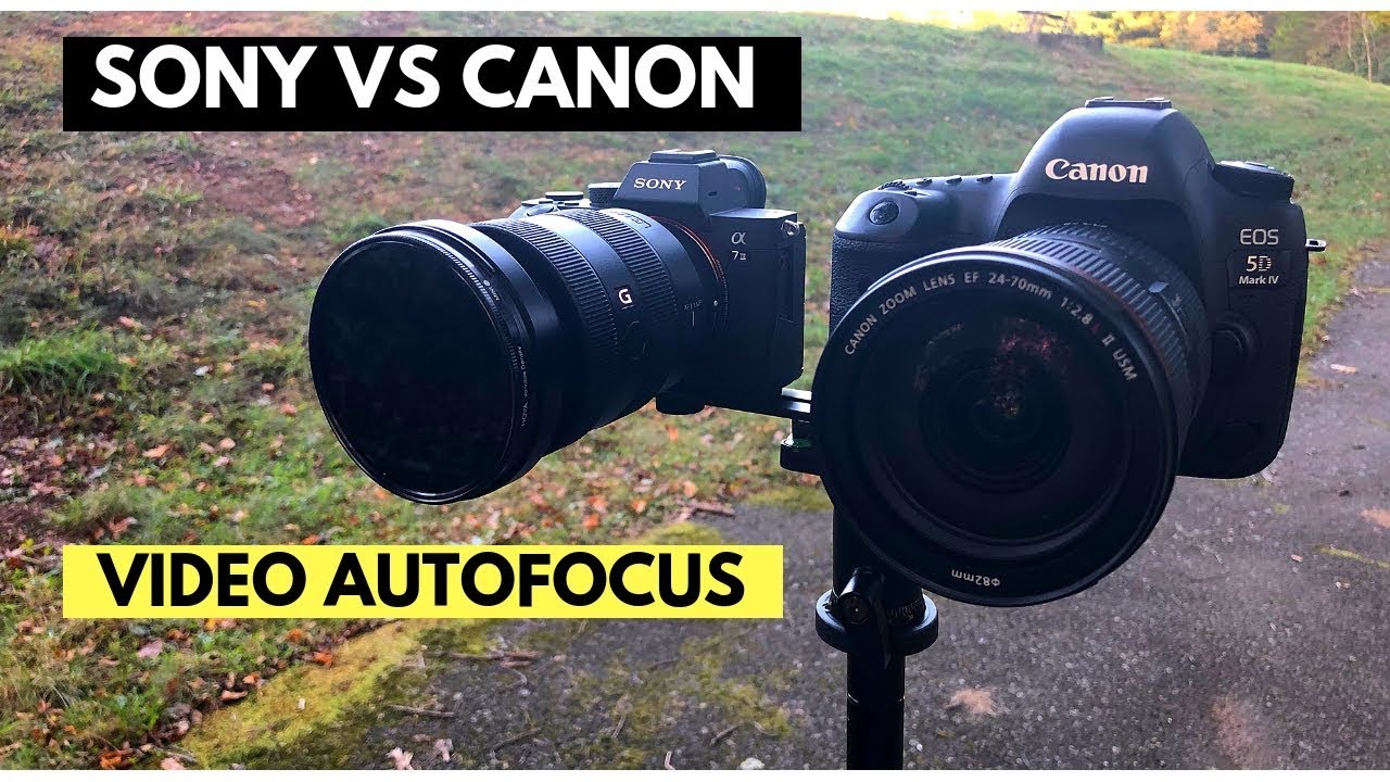 Canon vs Sony Video Autofocus 5DM4 vs A7iii Dual Pixel AF vs Sony AF