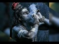 Shiv tandav strotam full HD video