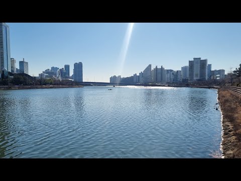 수영강 트레킹(갈맷길 8-2코스+) 12km