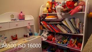 A6500 Vs A7Iii Low Light Test A73