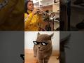 Most Viral Cat Song ЁЯЩАЁЯШ Cat Most Viral Cat Song ЁЯЩАЁЯШ Cat