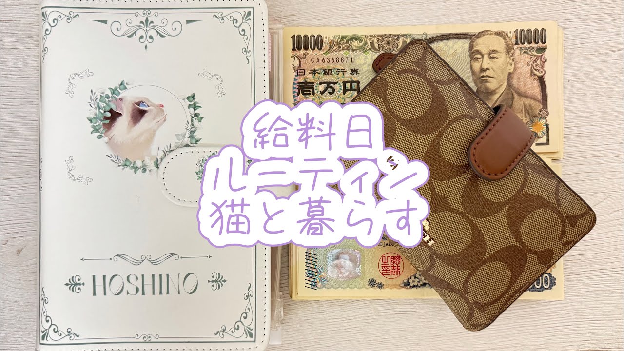 給料日ルーティン　#ネコ #仕事女子 #猫のいる暮らし #給料日ルーティン #給料日 #ひとり暮らし #1人暮らし