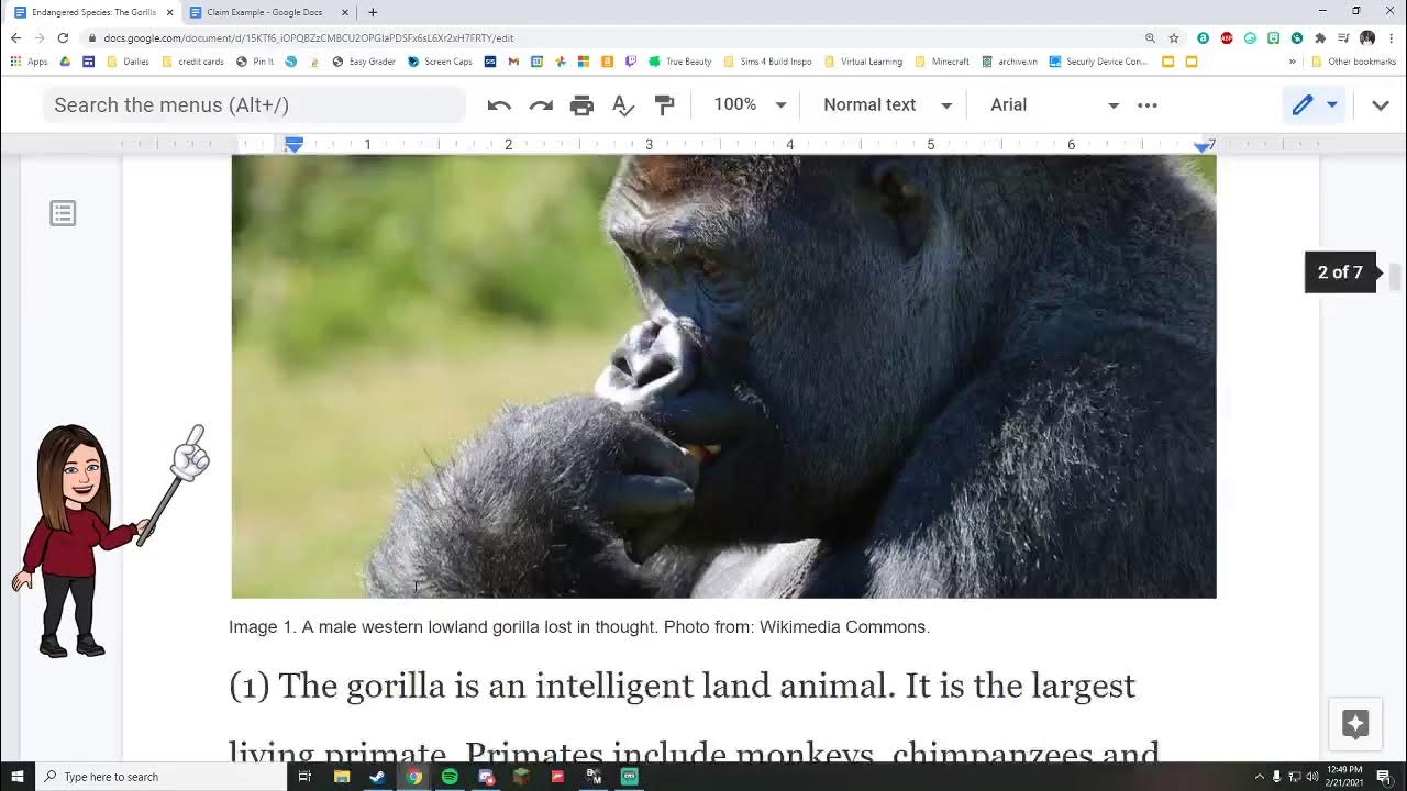 write a short essay on gorilla