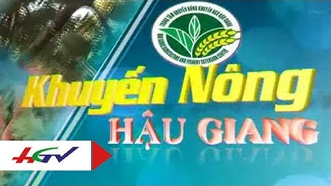 Kỹ thuật nuôi cá thát lát cờm | HGTV