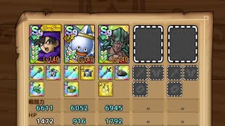 【ドラクエタクト】 デルコンダル闘技場-難題を乗り越えよ-　VS邪教の悪魔たち　ノーデスクリア【真・dq2イベント】【#ドラクエタクト/#ドラゴンクエストタクト/#dqtact】