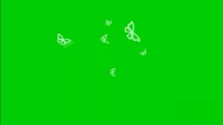 Green screen butterfly flying #3. An incredible effect that MUST WATCH by everyone.