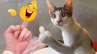 Funniest Animals 2023 😂 Funniest Cats and Dogs 😺🐶 PART 03