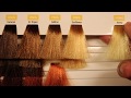 Redken Color Gels 101 (low ammonia high saturation)