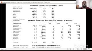 Um caso clássico de leucemia no hemograma de um gato Felv