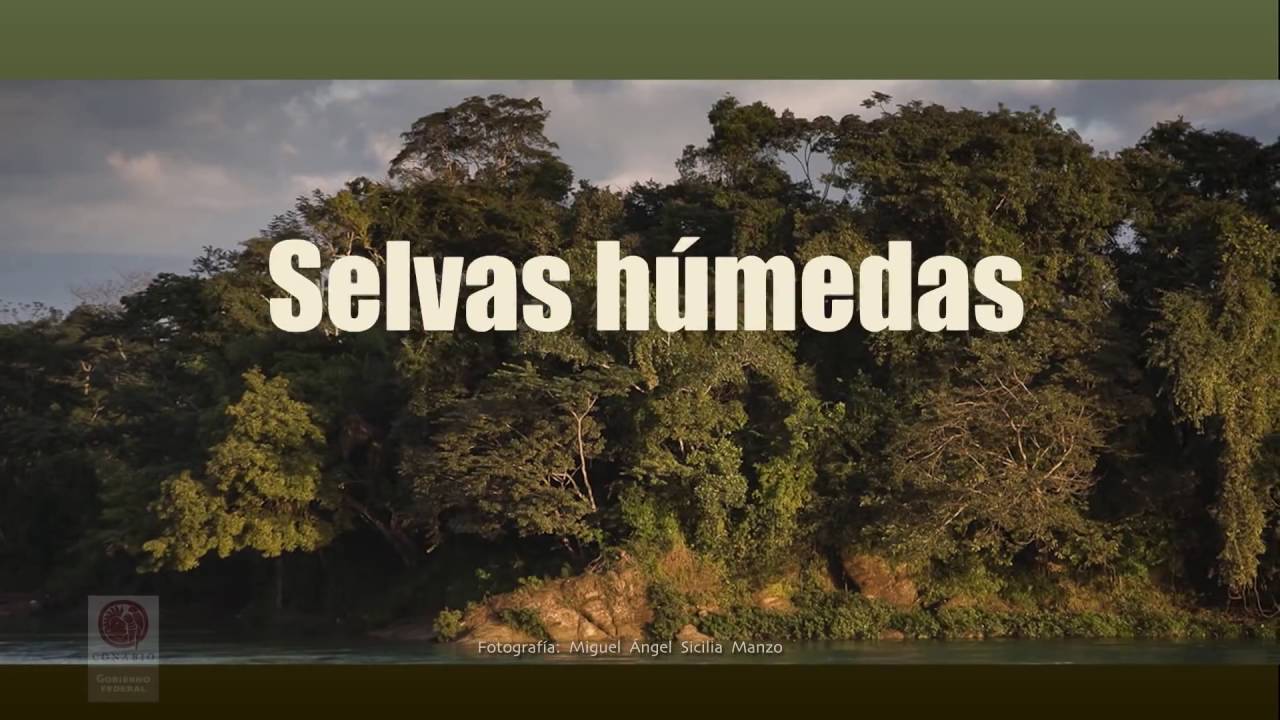 Ecosistemas de México CONABIO YouTube