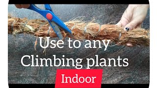 How to make indoor plant climbing stick!!!/Sabi&#39;s creation