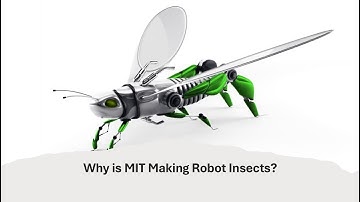 Why is MIT Making Insect Robots?
