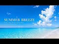 【夏の洋楽Playlist】Summer Breeze|青い海と空を感じる爽やかな作業用BGM 🌊☀️ &mdash;Background Music &mdash;かけ流し&mdash;60分耐久|著作権フリー&mdash;途中広告なし