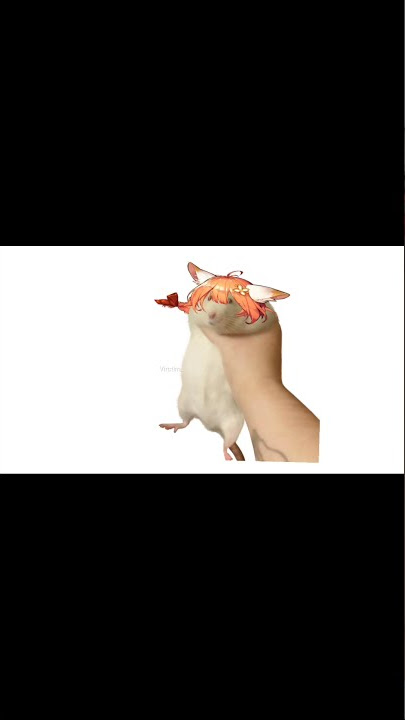 Nari.mp4