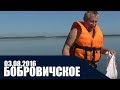 Бобровичское озеро - 03.08.2016