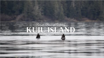 Kuiu Island Black Bear Hunt