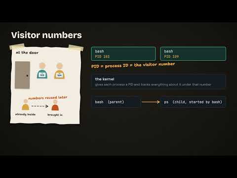 What is a Process in Linux? Program vs Process, and the PID | Linux Bites #1