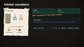What is a Process in Linux Program vs Process, and the PID | Linux Bites #1