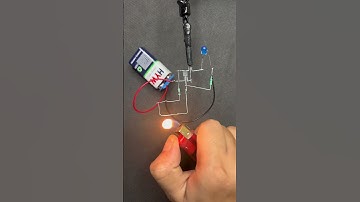 More than a Diode 1N4007