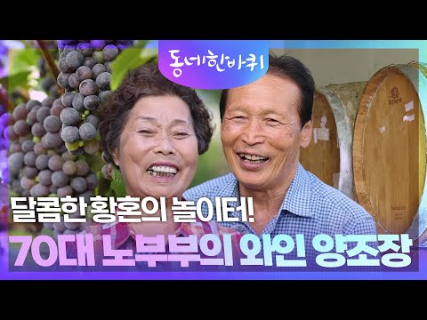 A Sweet Playground in Their Twilight Years! A 70-Something Couple’s Winery [Neighborhood: One Rou...