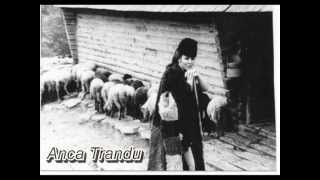 Dini Trandu-Picuraru sh-vruta.mpg