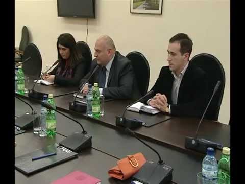 შეხვედრა გერმანულ დელეგაციასთან