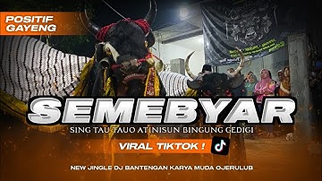 DJ BANTENGAN ‼️ SUMEBYAR -banyuwangi an (style hae_hae_u) music video official karyamudaojerulub