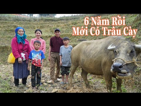 Video T19 - Niềm Vui Lớn Cho Gia Đình Dín Lớp 11 Nuôi 3 Em... - YouTube
