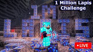 MINECRAFT WORLD RECORD 1 MILLION LAPIS CHALLENGE 🤯 #shorts