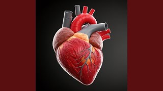 My Heart Beat