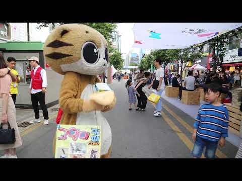 JHKTV] 신촌 명물고양이에 중독되다  shin chon special cat become <strong>addicted</strong>