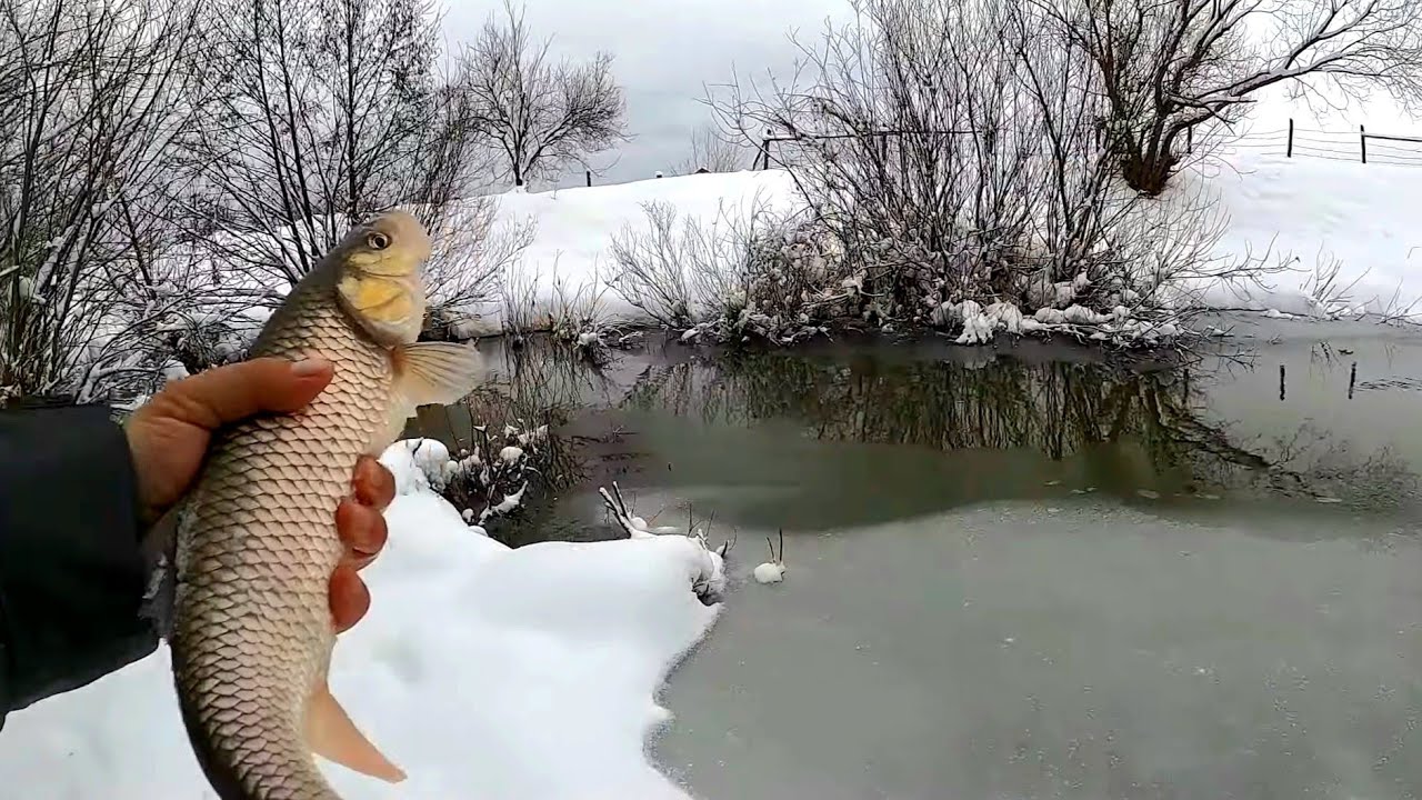 PESCUIT la BUZA GHEȚII ❄️- Pești activi și PEISAJE de VIS după PRIMA ZĂPADĂ