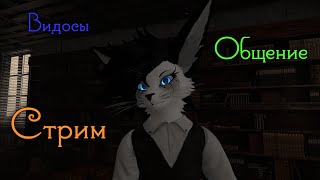 Смотрим видосы, общаемся