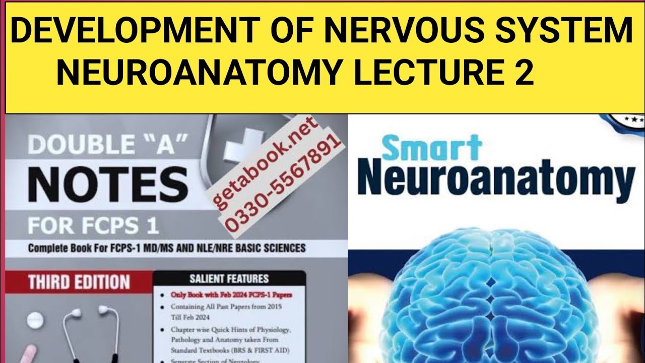 Neuroanatomy lecture 2 |Fcps part 1 lectures - YouTube