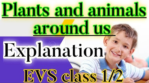EVS Plants and Animals Around Us|| plants and animals around us EVS class 1 and 2||@sckidsclasses