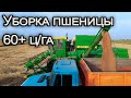 Уборка пшеницы 2020! ДОН-1500Б. Урожайность за 60 ц/га.