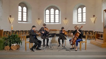 Joseph Haydn, String Quartet in B minor, op. 33 no. 1, 4. Presto, Pacific Quartet Vienna