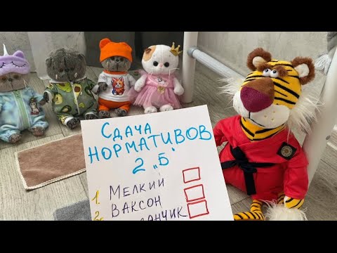 Видео школа басиков