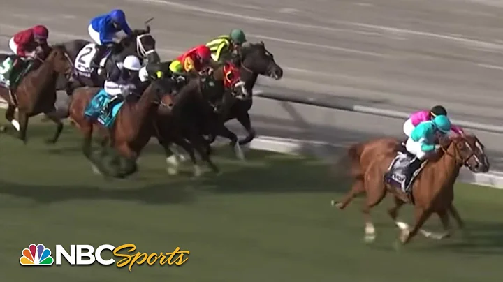 Preakness Stakes winner War of Will returns for Sa...