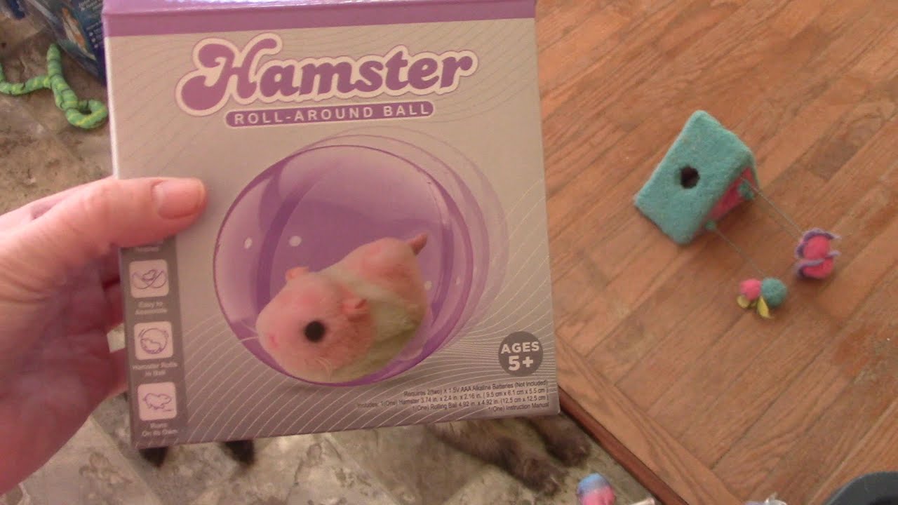 rolling hamster ball plush toy, Five Below