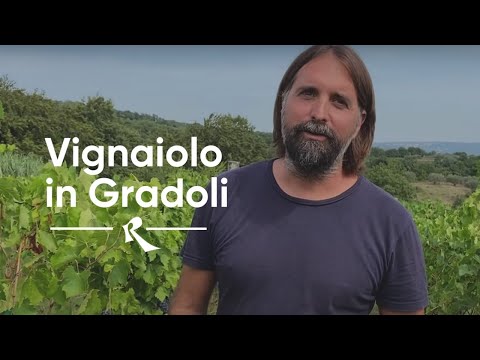 Video: Andrea Ockipinti: Biografija, Kariera, Osebno življenje