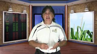 Farms.com Market School: Understanding Your Farm's Grain Marketing Objectives & Plan.