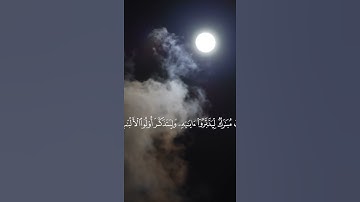 كتاب أنزلناه إليك مبارك ليدبروا آياته وليتذكر أولو الألباب #الشيخ_عبدالمحسن_البدر