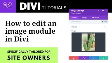 How to Edit an Image Module| Divi Tutorial for Beginners