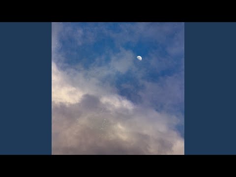 fleeting memory
