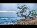 Treasure Beach To Negril - Real Jamaica (Part1)