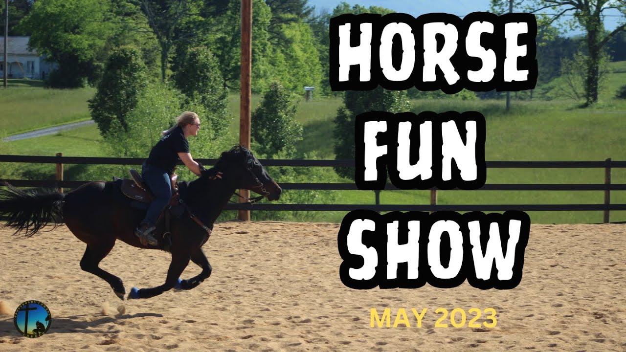 Horse Fun Show Recap May 2023 YouTube